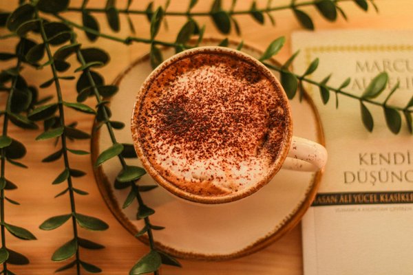 L'histoire du sac emblématique de longchamp